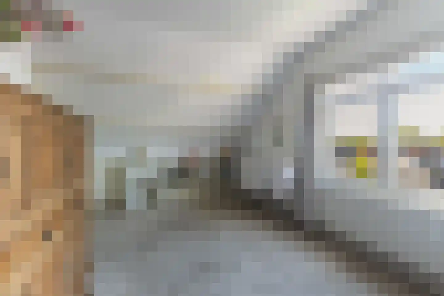Meidoornlaan 34 Renswoude thumbnail 37