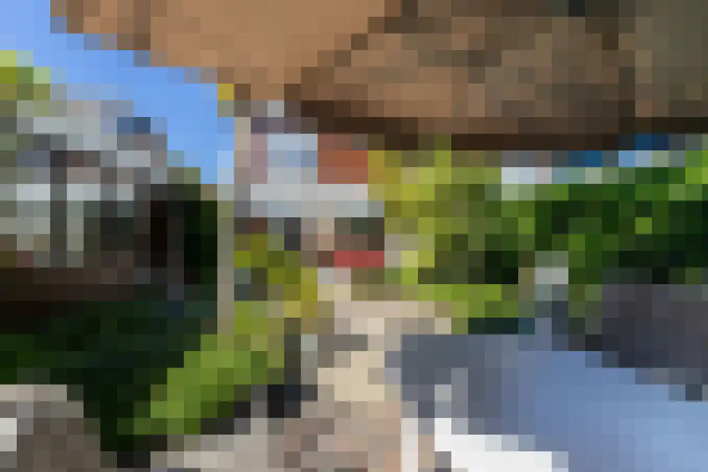 Meidoornlaan 34 Renswoude thumbnail 42