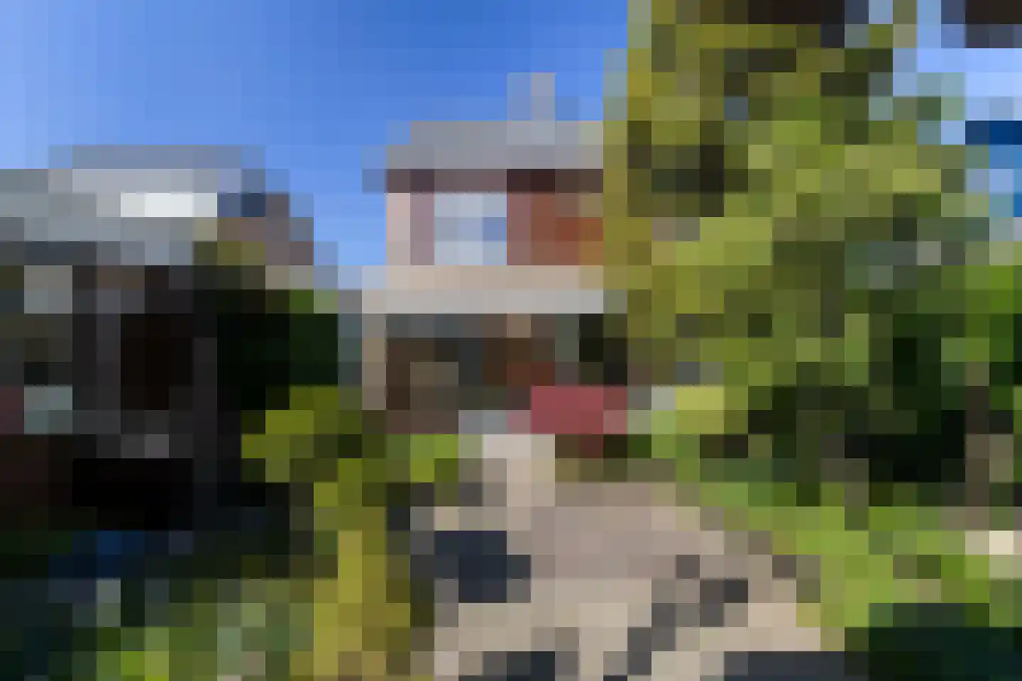Meidoornlaan 34 Renswoude thumbnail 43