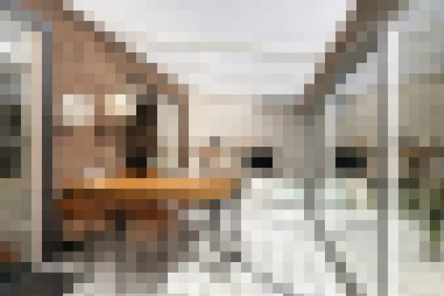 Meidoornlaan 34 Renswoude thumbnail 6