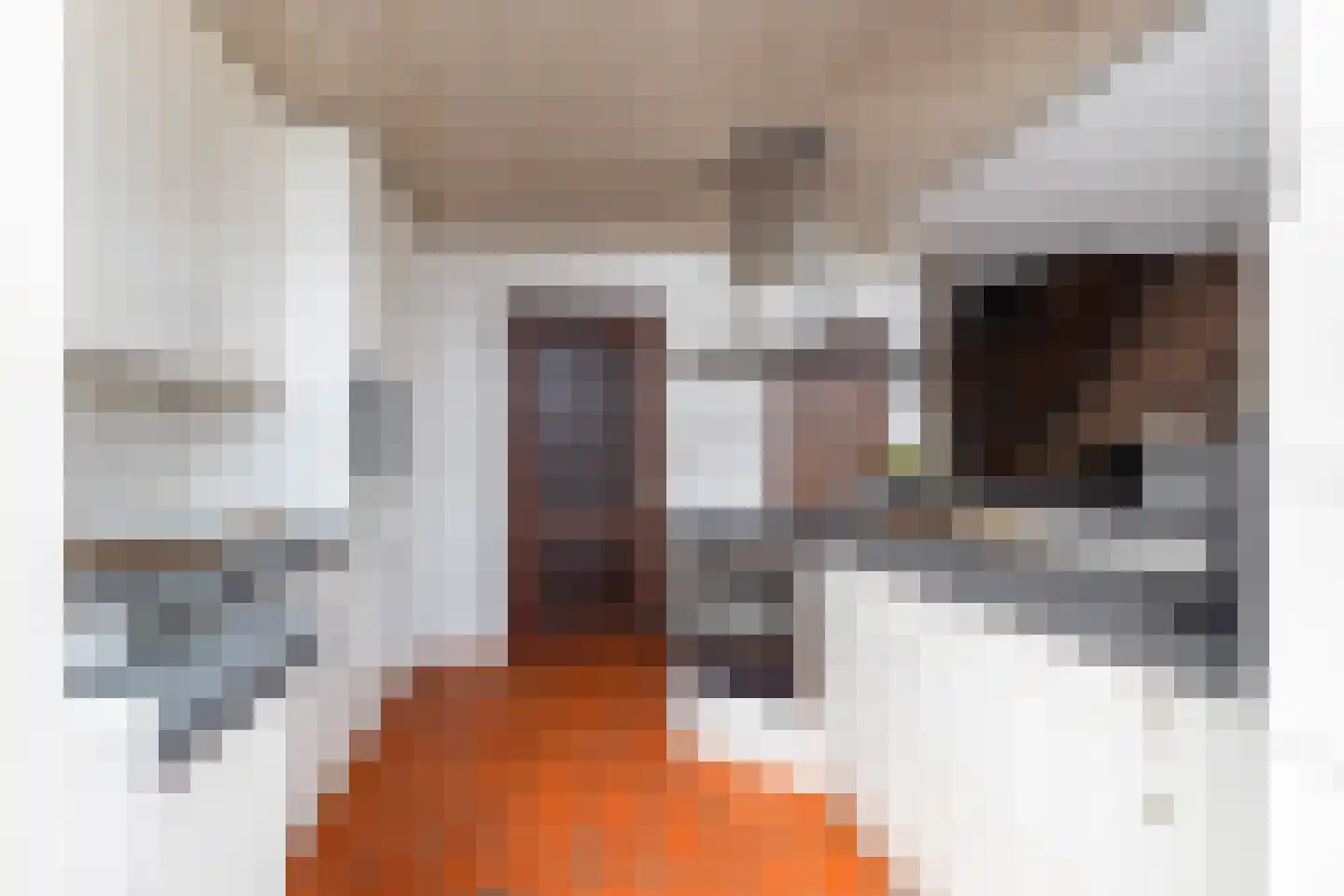 Meidoornlaan 34 Renswoude thumbnail 7