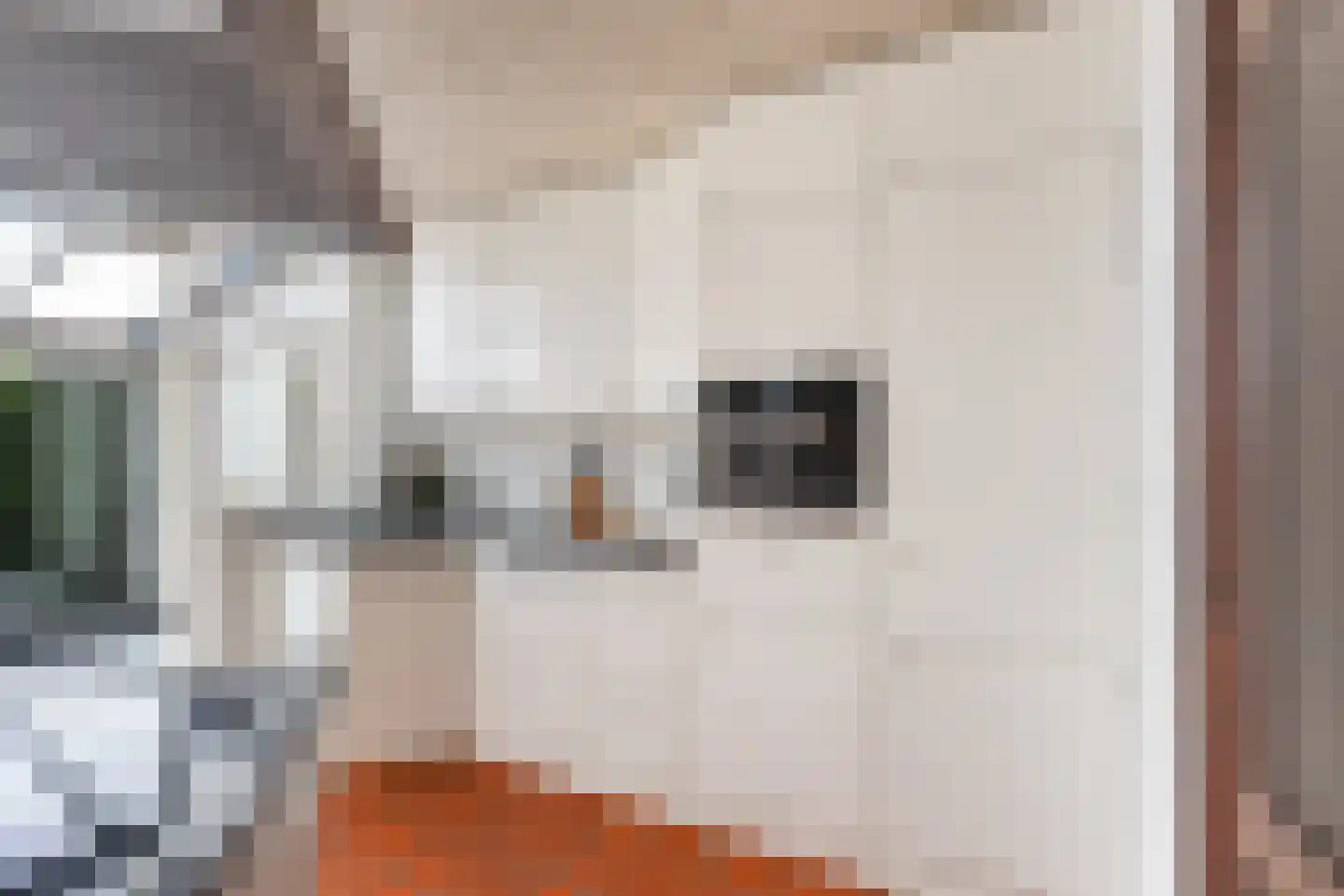 Meidoornlaan 34 Renswoude thumbnail 8