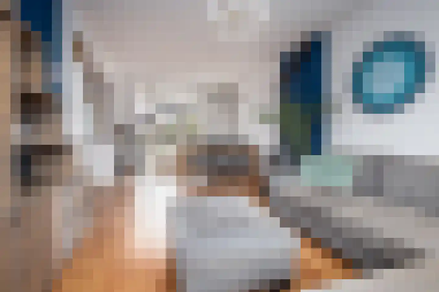 Meidoornlaan 36 Grootebroek thumbnail 10