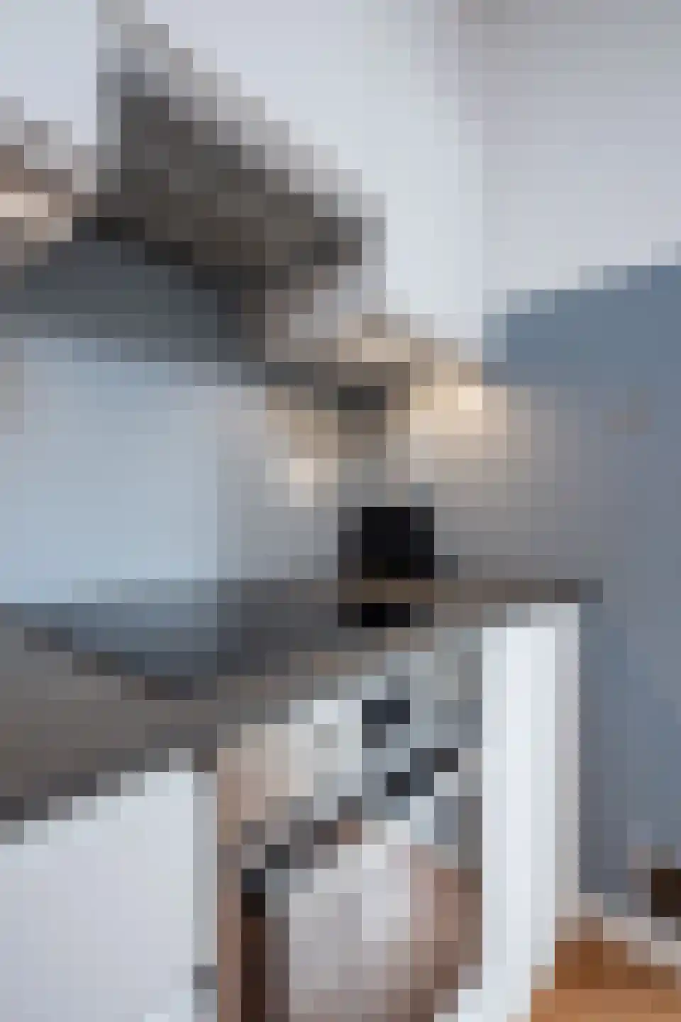 Meidoornlaan 36 Grootebroek thumbnail 49