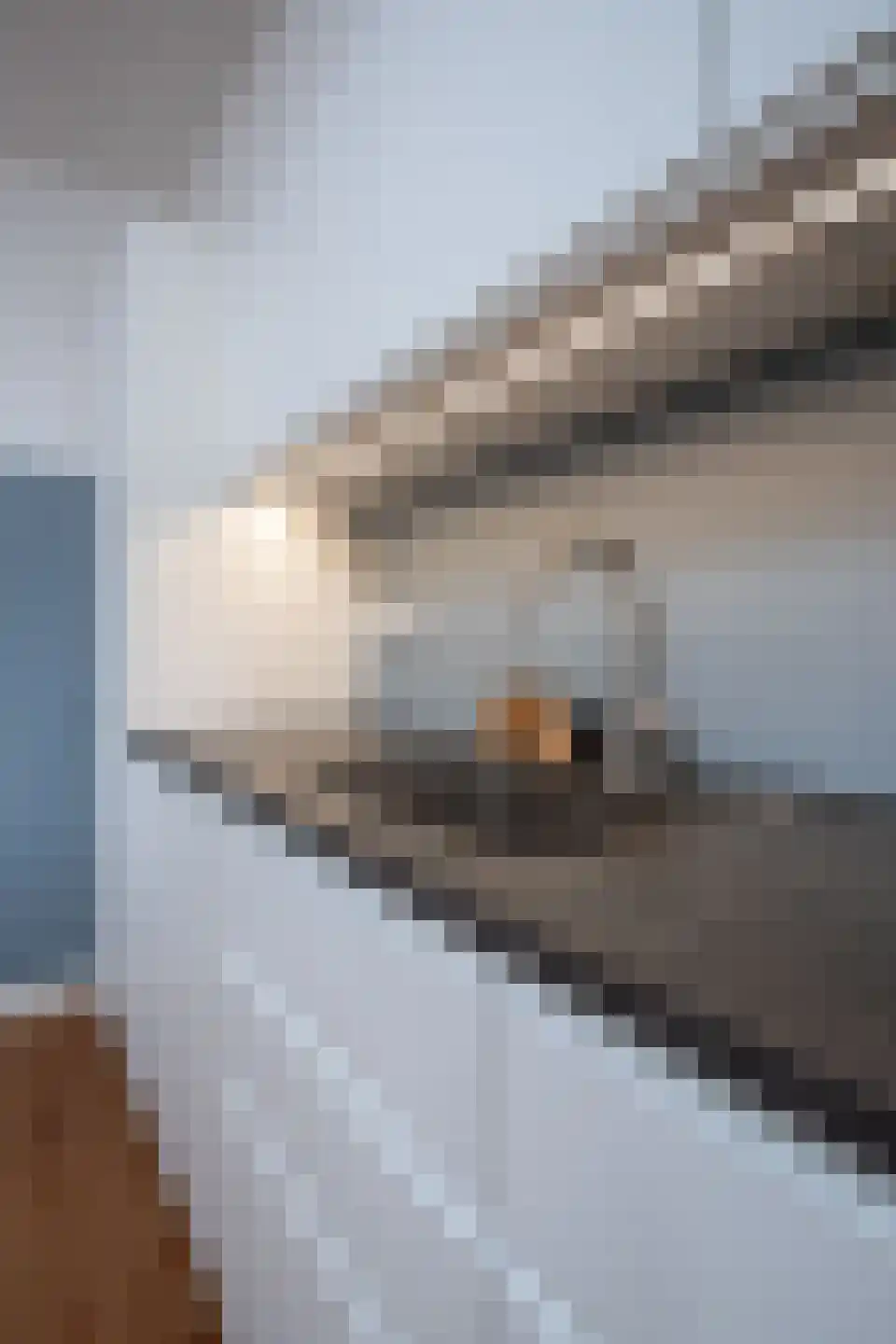 Meidoornlaan 36 Grootebroek thumbnail 50