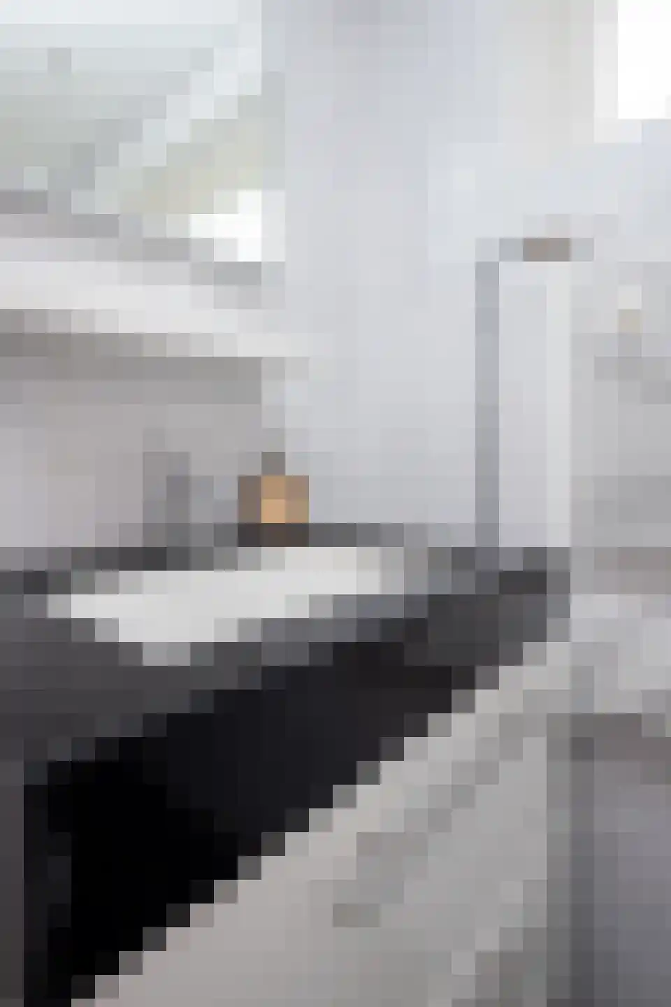 Meidoornlaan 36 Grootebroek thumbnail 53