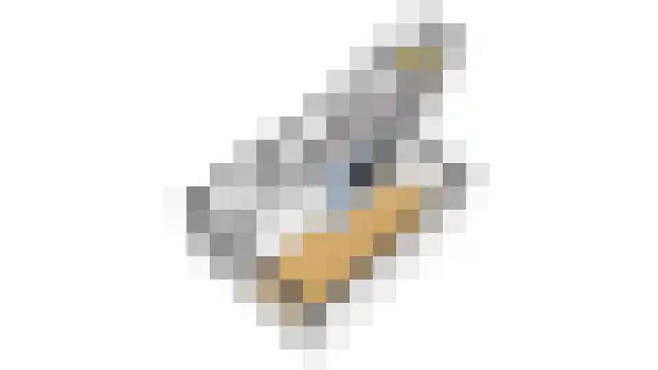Meidoornlaan 36 Grootebroek thumbnail 57