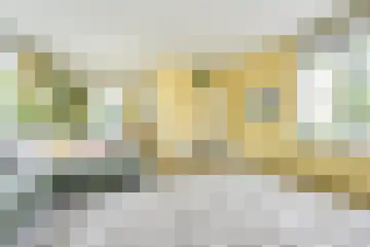 Meidoornlaan 38 Vianen thumbnail 15