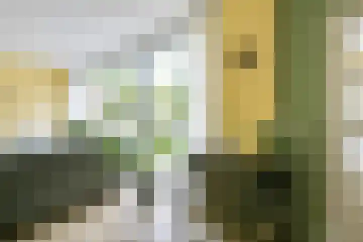 Meidoornlaan 38 Vianen thumbnail 17