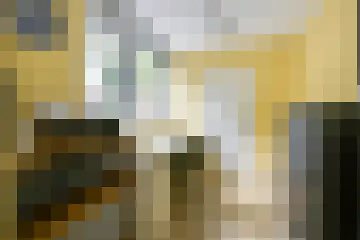 Meidoornlaan 38 Vianen thumbnail 19