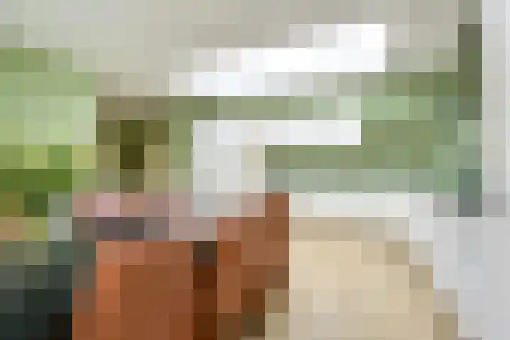 Meidoornlaan 38 Vianen thumbnail 26