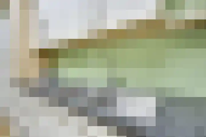 Meidoornlaan 38 Vianen thumbnail 28