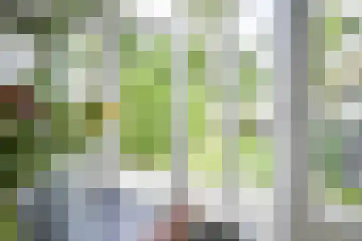Meidoornlaan 38 Vianen thumbnail 31