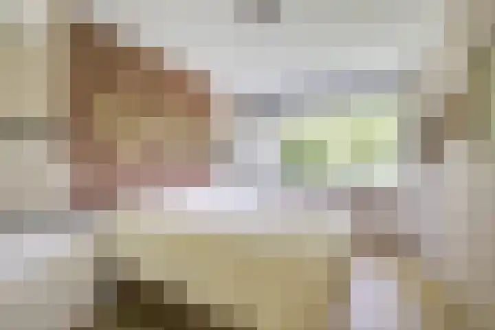 Meidoornlaan 38 Vianen thumbnail 35