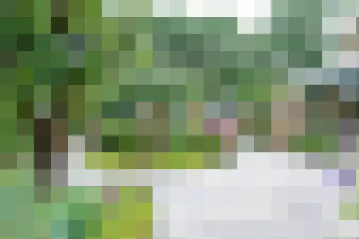 Meidoornlaan 38 Vianen thumbnail 4