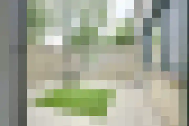 Meidoornlaan 38 Vianen thumbnail 47