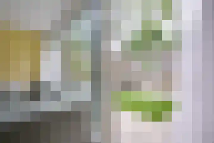 Meidoornlaan 38 Vianen thumbnail 48