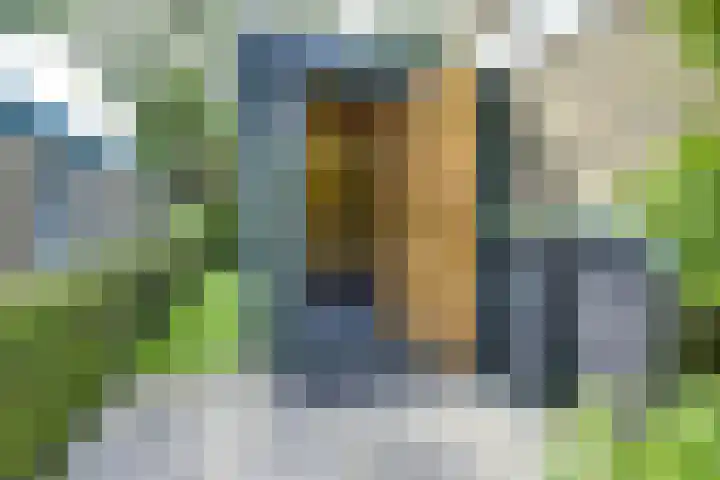 Meidoornlaan 38 Vianen thumbnail 49