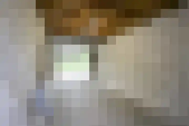 Meidoornlaan 38 Vianen thumbnail 51