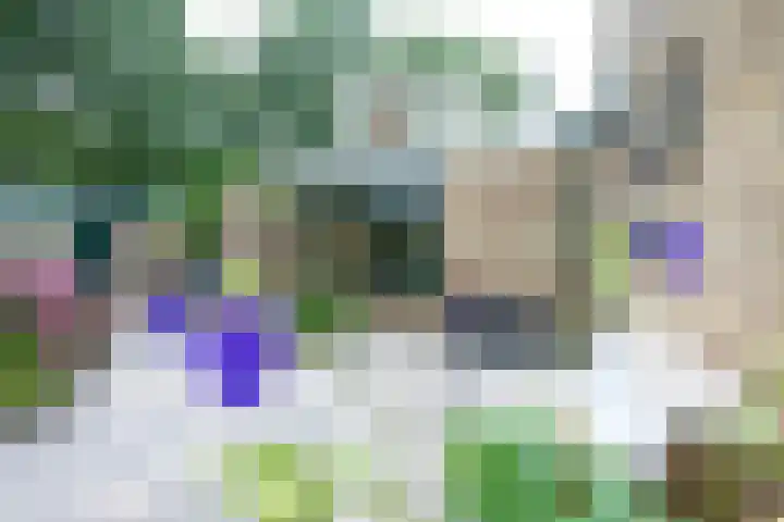 Meidoornlaan 38 Vianen thumbnail 59