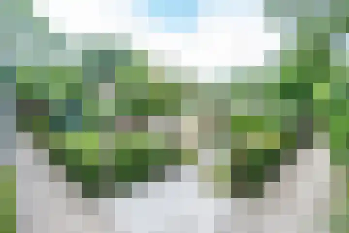 Meidoornlaan 38 Vianen thumbnail 61