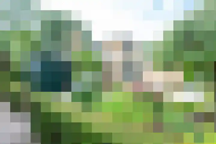Meidoornlaan 38 Vianen thumbnail 62