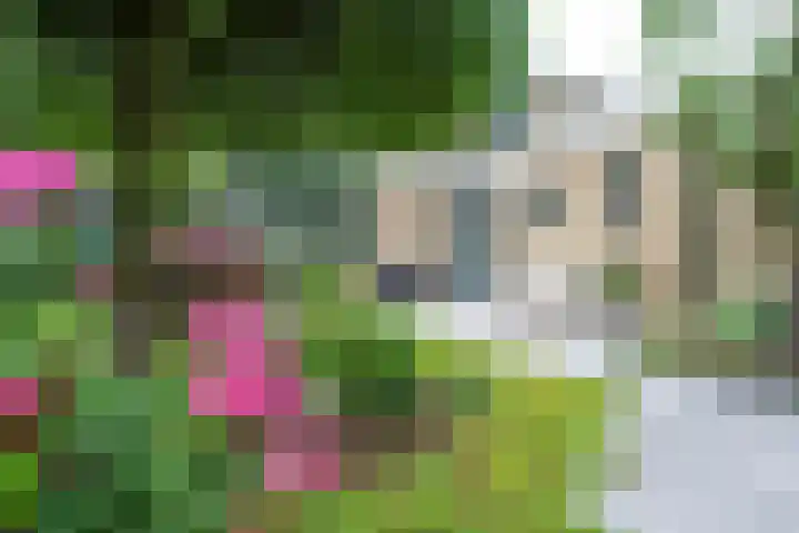 Meidoornlaan 38 Vianen thumbnail 63