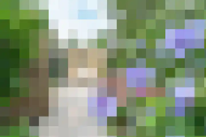 Meidoornlaan 38 Vianen thumbnail 68