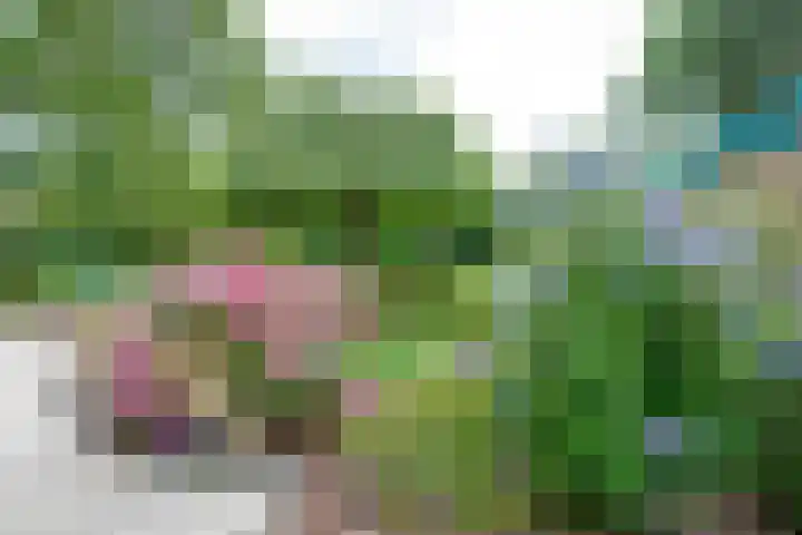 Meidoornlaan 38 Vianen thumbnail 69