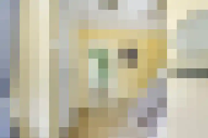 Meidoornlaan 38 Vianen thumbnail 7