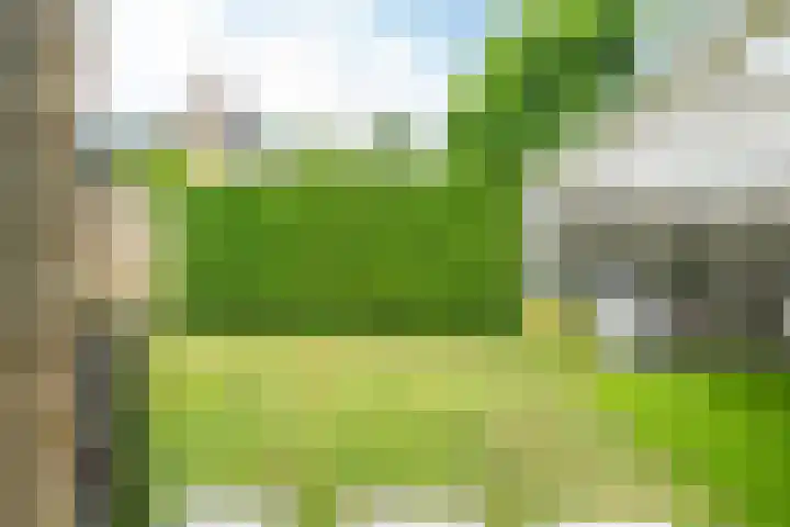 Meidoornlaan 38 Vianen thumbnail 71