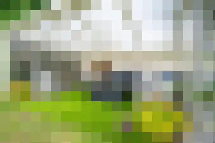 Meidoornlaan 38 Vianen thumbnail 72