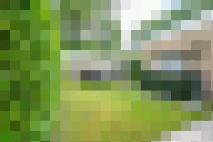 Meidoornlaan 38 Vianen thumbnail 73