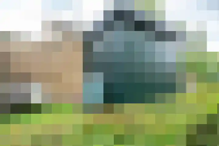 Meidoornlaan 38 Vianen thumbnail 76