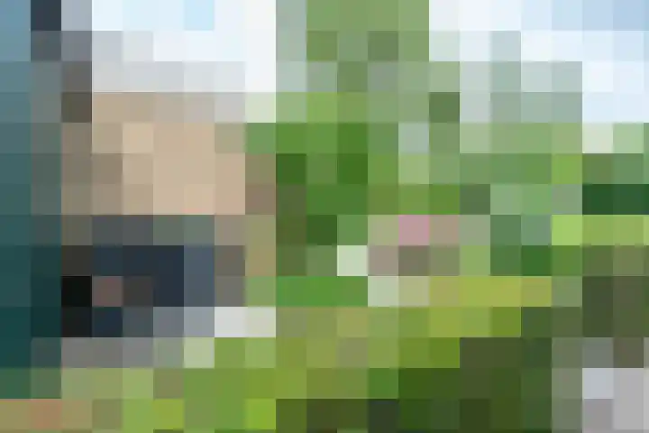 Meidoornlaan 38 Vianen thumbnail 77
