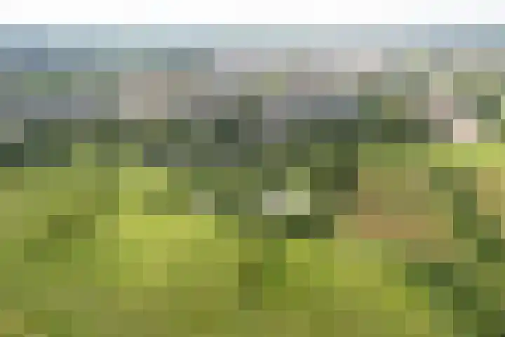 Meidoornlaan 38 Vianen thumbnail 78