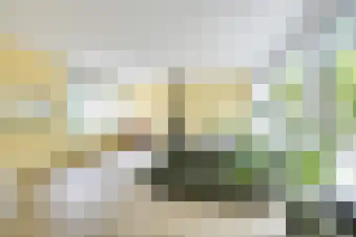Meidoornlaan 38 Vianen thumbnail 9