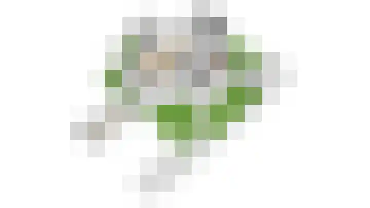 Meidoornlaan 38 Vianen thumbnail 92