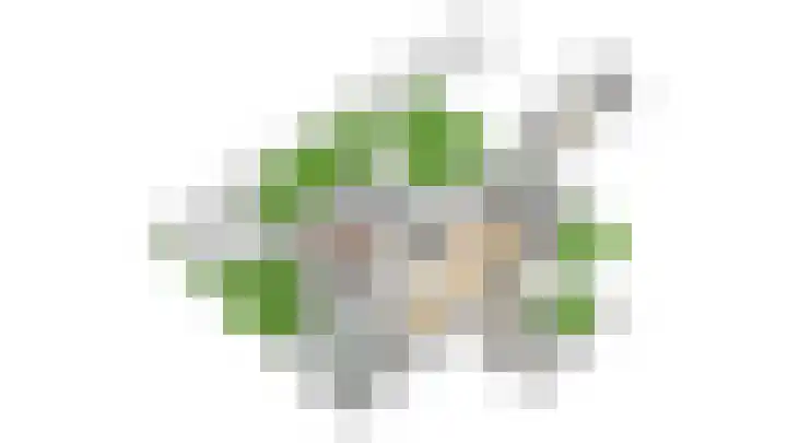 Meidoornlaan 38 Vianen thumbnail 93