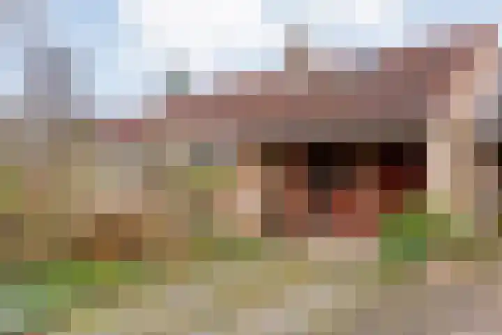 Meidoornlaan 4 en Dalfsen
