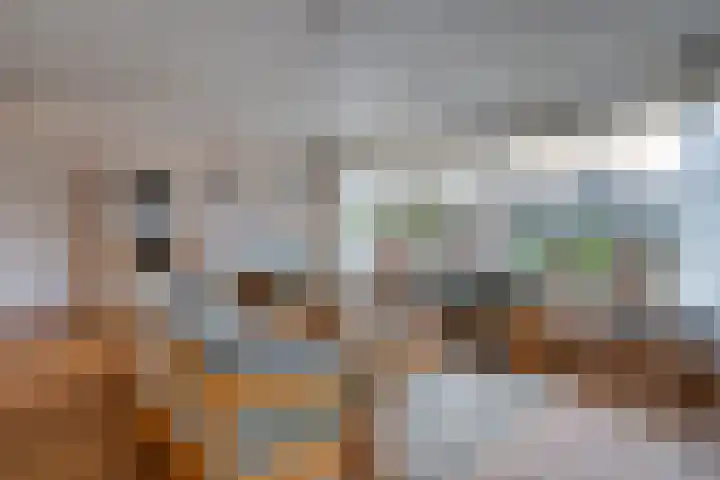 Meidoornlaan 4 Dalfsen thumbnail 11