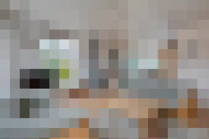 Meidoornlaan 4 Dalfsen thumbnail 12