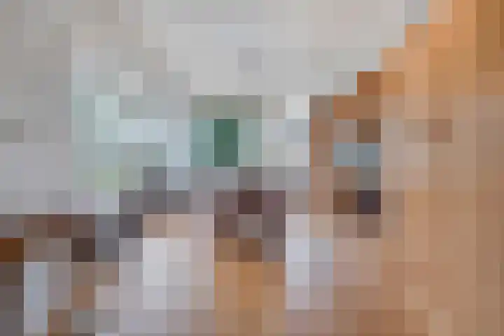 Meidoornlaan 4 Dalfsen thumbnail 16