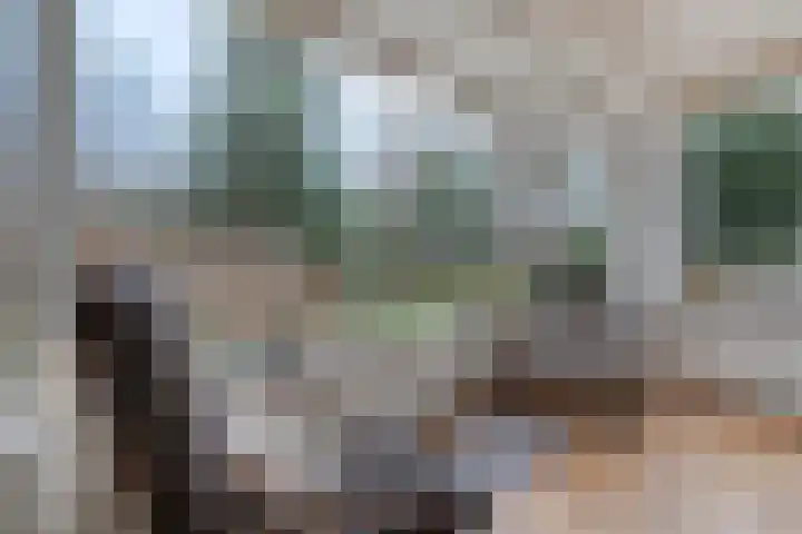 Meidoornlaan 4 Dalfsen thumbnail 18