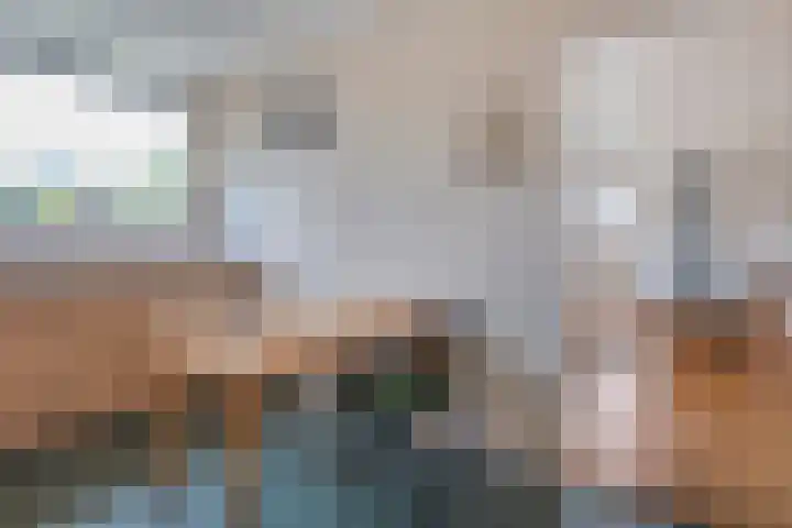 Meidoornlaan 4 Dalfsen thumbnail 19