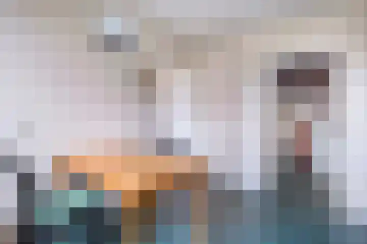 Meidoornlaan 4 Dalfsen thumbnail 23