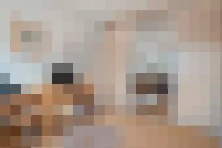 Meidoornlaan 4 Dalfsen thumbnail 27