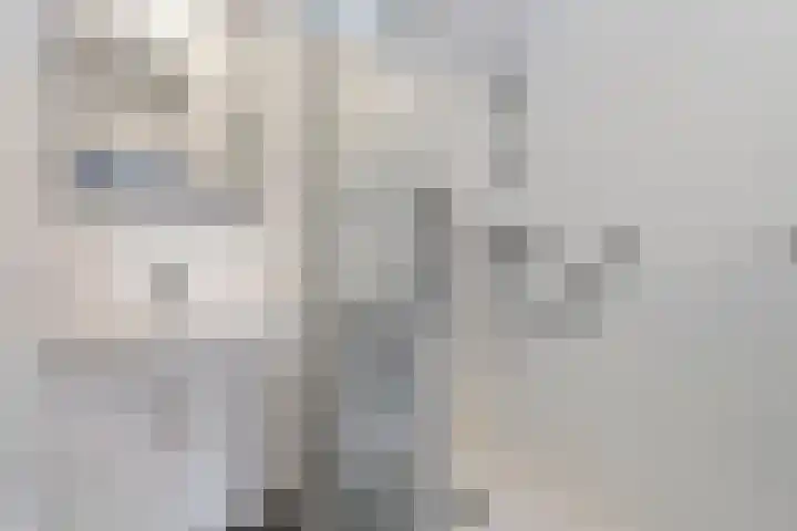 Meidoornlaan 4 Dalfsen thumbnail 30