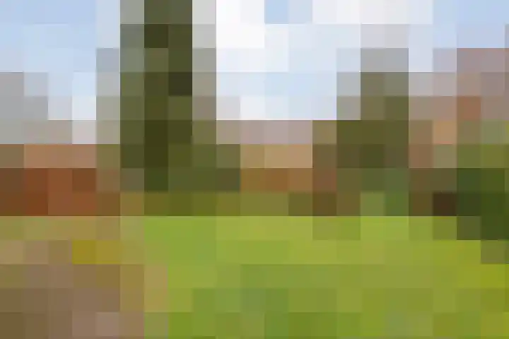 Meidoornlaan 4 Dalfsen thumbnail 4