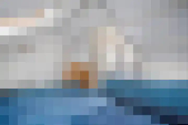 Meidoornlaan 4 Dalfsen thumbnail 40